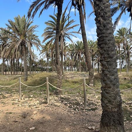 Despertar En Torrevieja 빌라 외부 사진