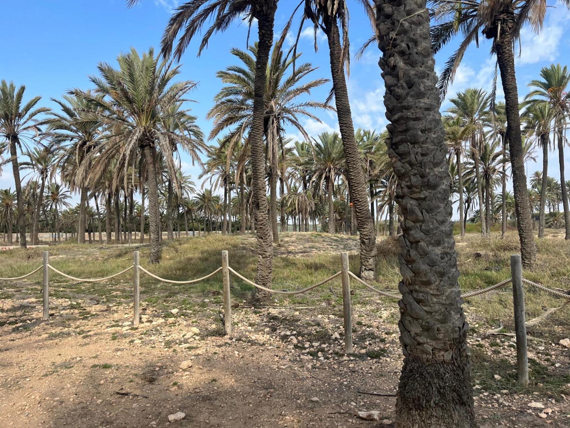 Despertar En Torrevieja 빌라 외부 사진